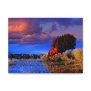 Wild Horse Canvas Wall Art - Sunset Grazing Landscape (Matte Stretched)