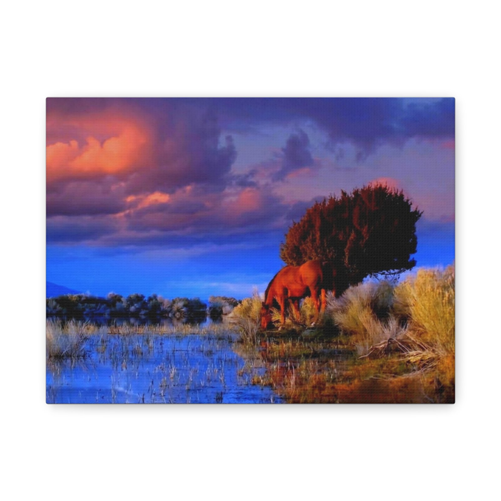 Wild Horse Canvas Wall Art - Sunset Grazing Landscape (Matte Stretched)