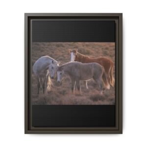 Framed Matte Canvas Print — Wild Horses at Dusk (Rustic Equestrian Wall Art)