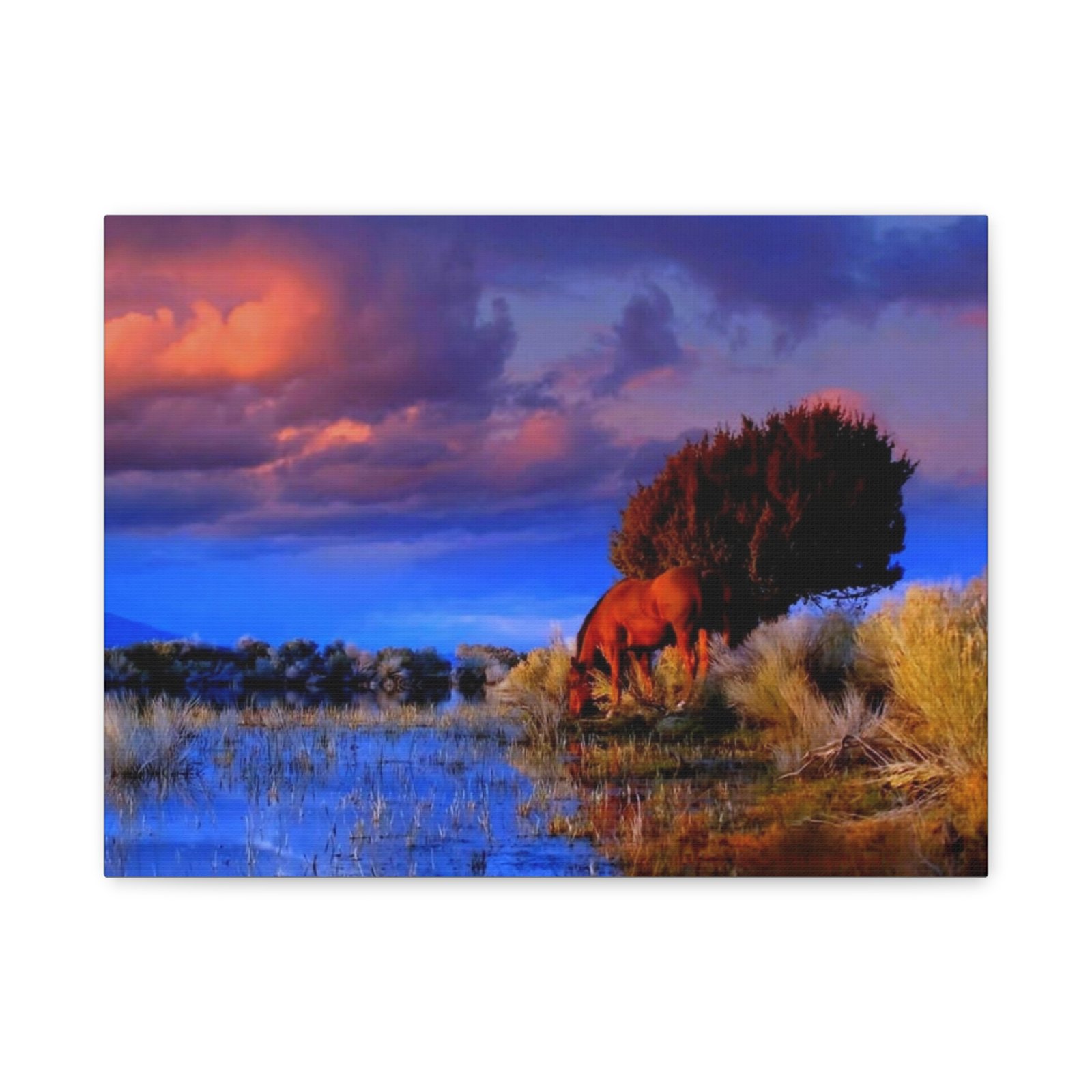 Wild Horse Canvas Wall Art - Sunset Grazing Landscape (Matte Stretched) - Image 3