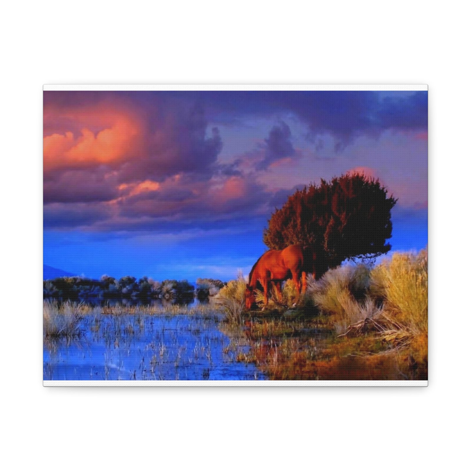 Wild Horse Canvas Wall Art - Sunset Grazing Landscape (Matte Stretched) - Image 2
