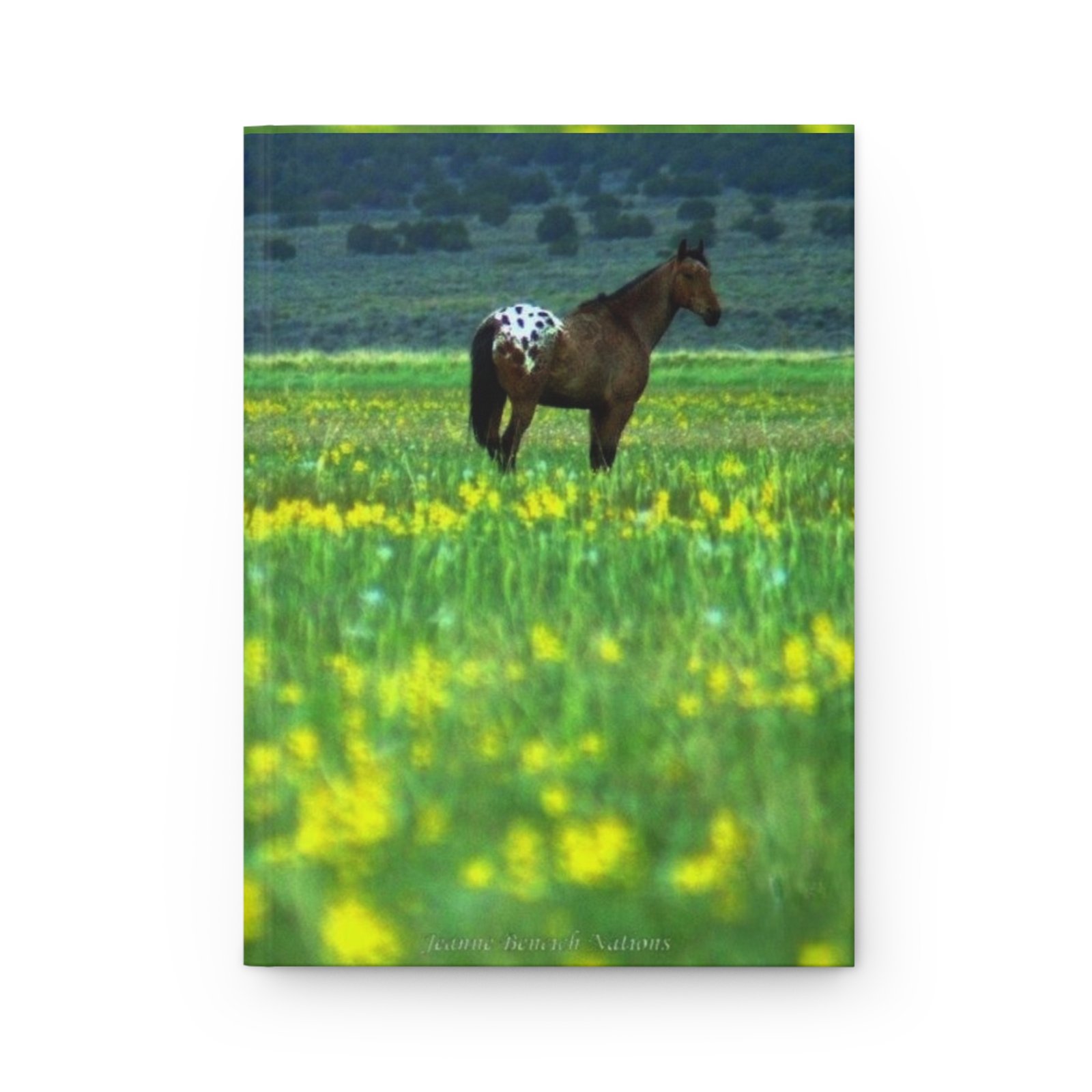 Wild Appaloosa in Wild Flowers Hardcover Journal — Nevada Horse Notebook